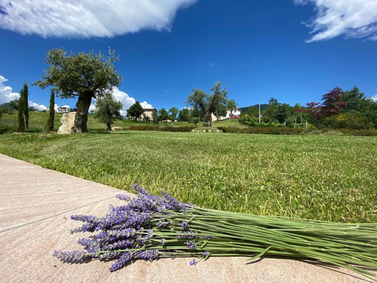 L'Oca Giuliva Relais Bed & Breakfast Gaggio Montano Exterior photo