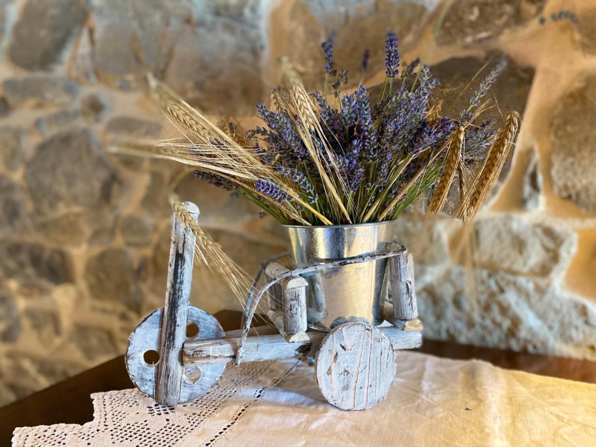 L'Oca Giuliva Relais Bed & Breakfast Gaggio Montano Exterior photo